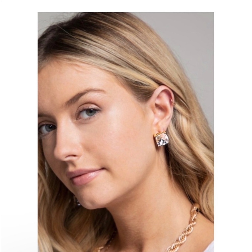 NWT Faux diamond earrings